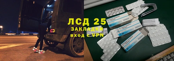 ПСИЛОЦИБИНОВЫЕ ГРИБЫ Волосово
