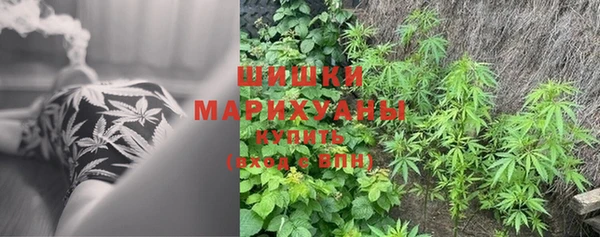 ПСИЛОЦИБИНОВЫЕ ГРИБЫ Волосово