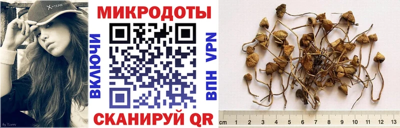 Купить  Сретенск  Галлюциногенные грибы мицелий 